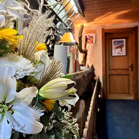 Le Labrador 1971 Hotel 4*